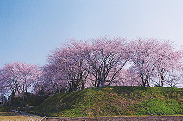 若栗城跡